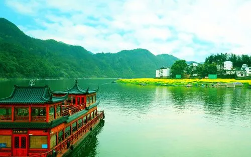 创新网络化独特